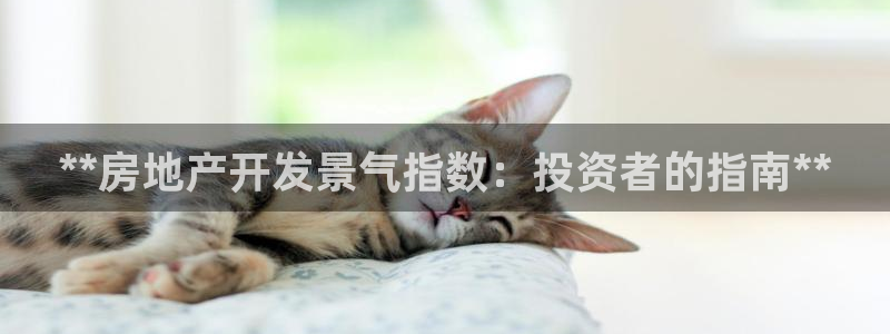 万向娱乐官网网址