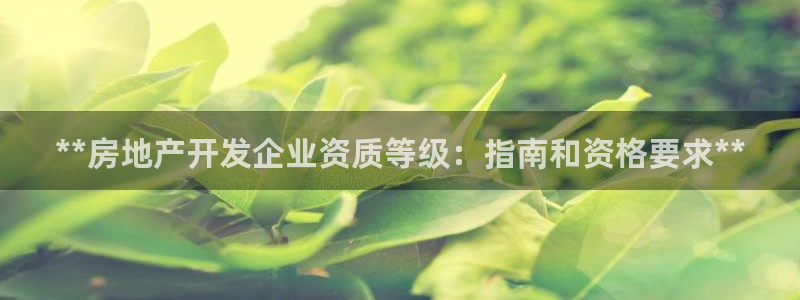 万向娱乐王者荣耀