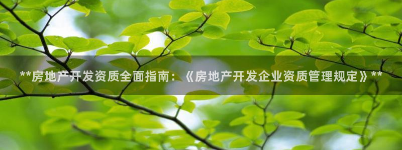 万向娱乐平台招商骗局