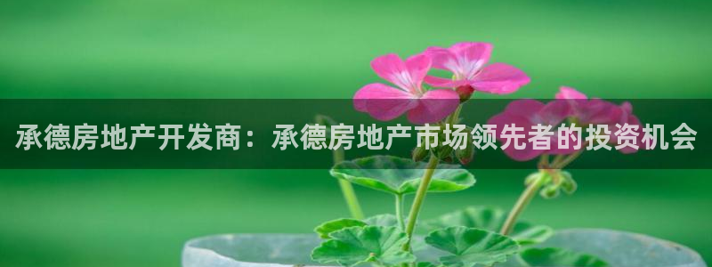 万向娱乐平台代理怎么样赚钱
