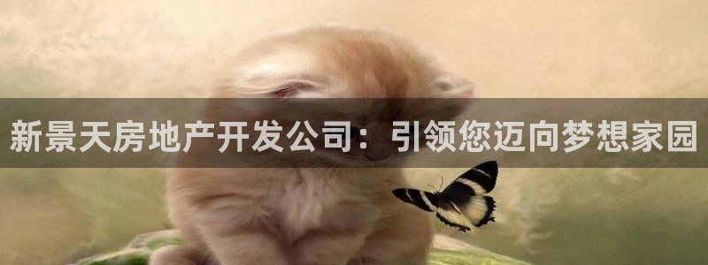 万向娱乐平台代理多少钱一个月