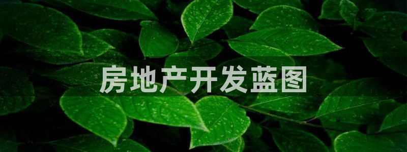 万向娱乐灯333OO