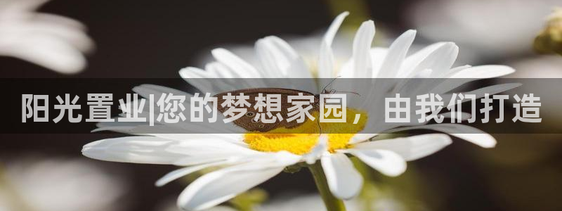 万向娱乐app下载