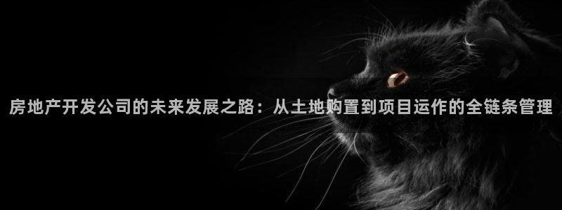 万向娱乐的494o3 主管