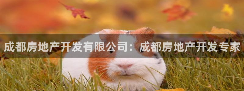 万向娱乐公司官网