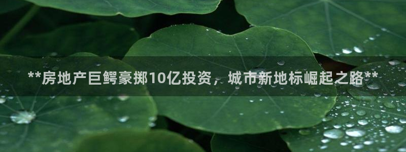 万向娱乐app下载官网