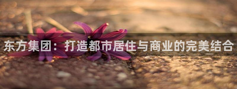 万象国际娱乐网址