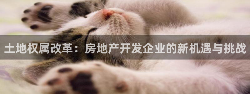 万向娱乐官网网址是什么
