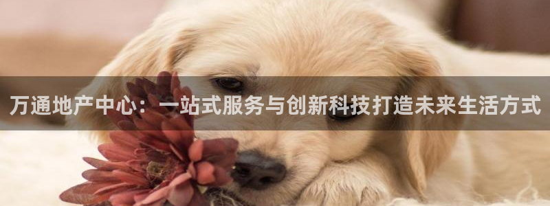 万向娱乐公司官网