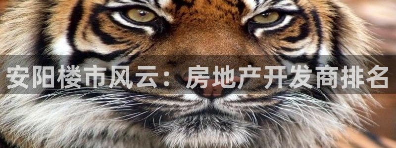 万向娱乐平台代理怎么样啊
