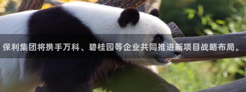 万向娱乐的联系方式是什么