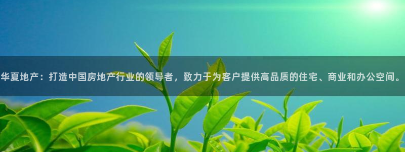 万向娱乐平台代理多少钱