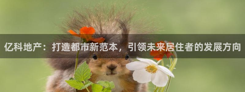万向娱乐官网下载
