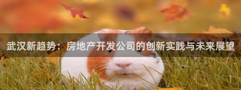万向娱乐的联系方式
