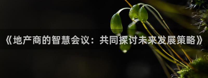 万向娱乐平台代理怎么样