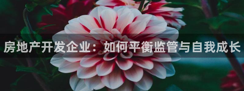 万向娱乐的联系方式有哪些