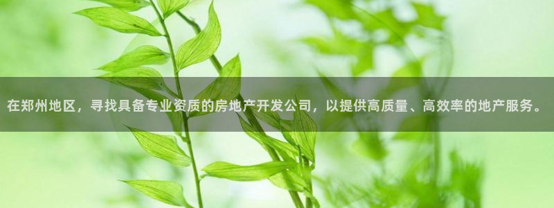 万向娱乐网址是什么