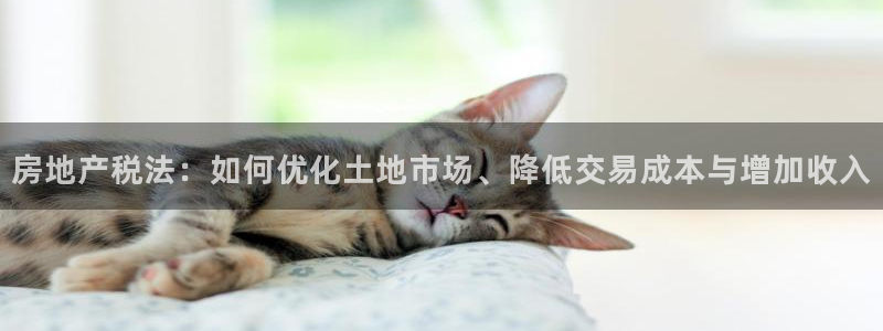 万向娱乐招商
