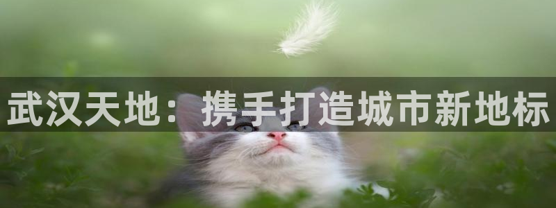 万向娱乐官网网址大全