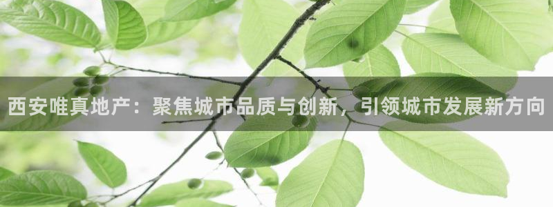 万向娱乐公司官网