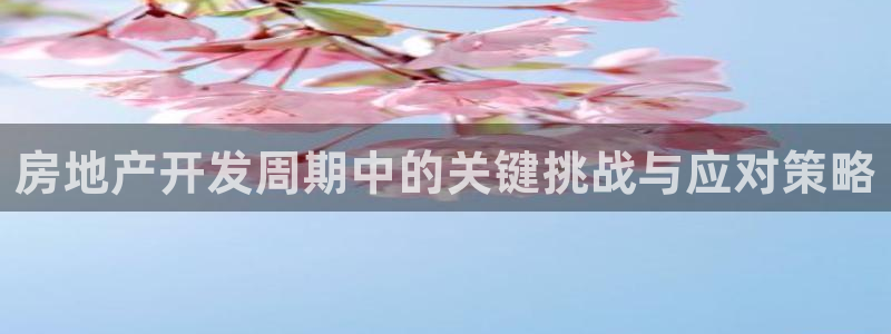 万向娱乐官网下载安卓