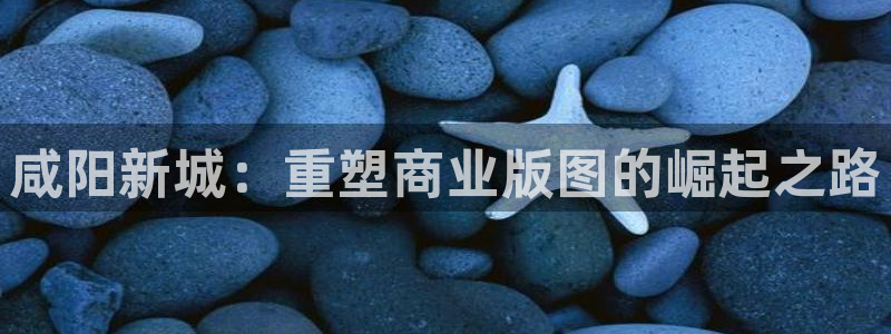 万向娱乐网址是什么